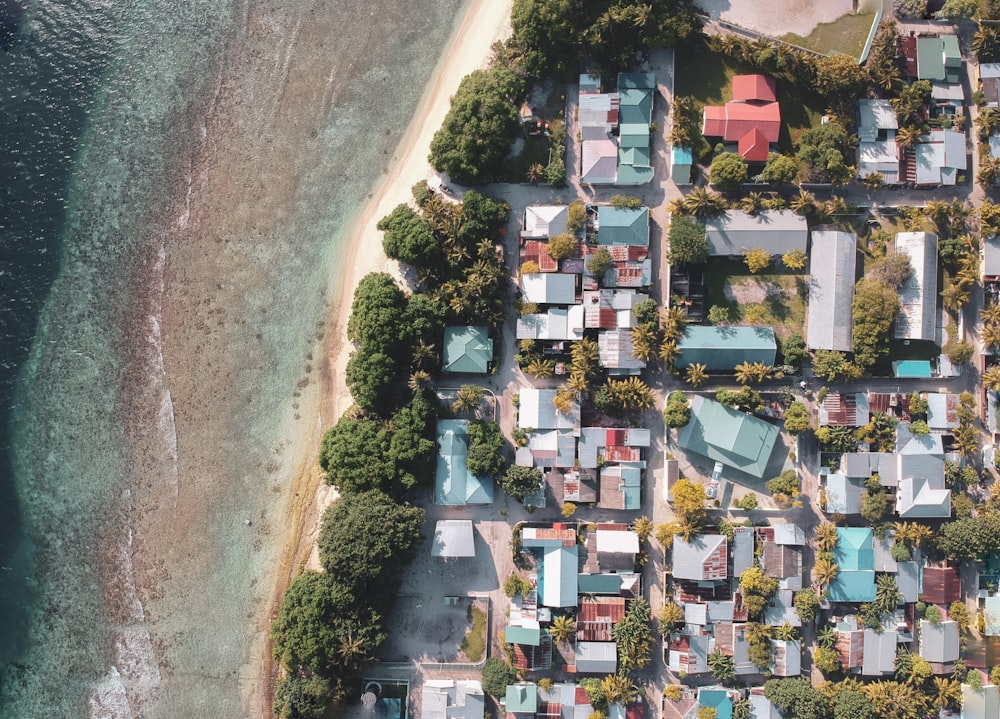 aerial photography of a village near the beach