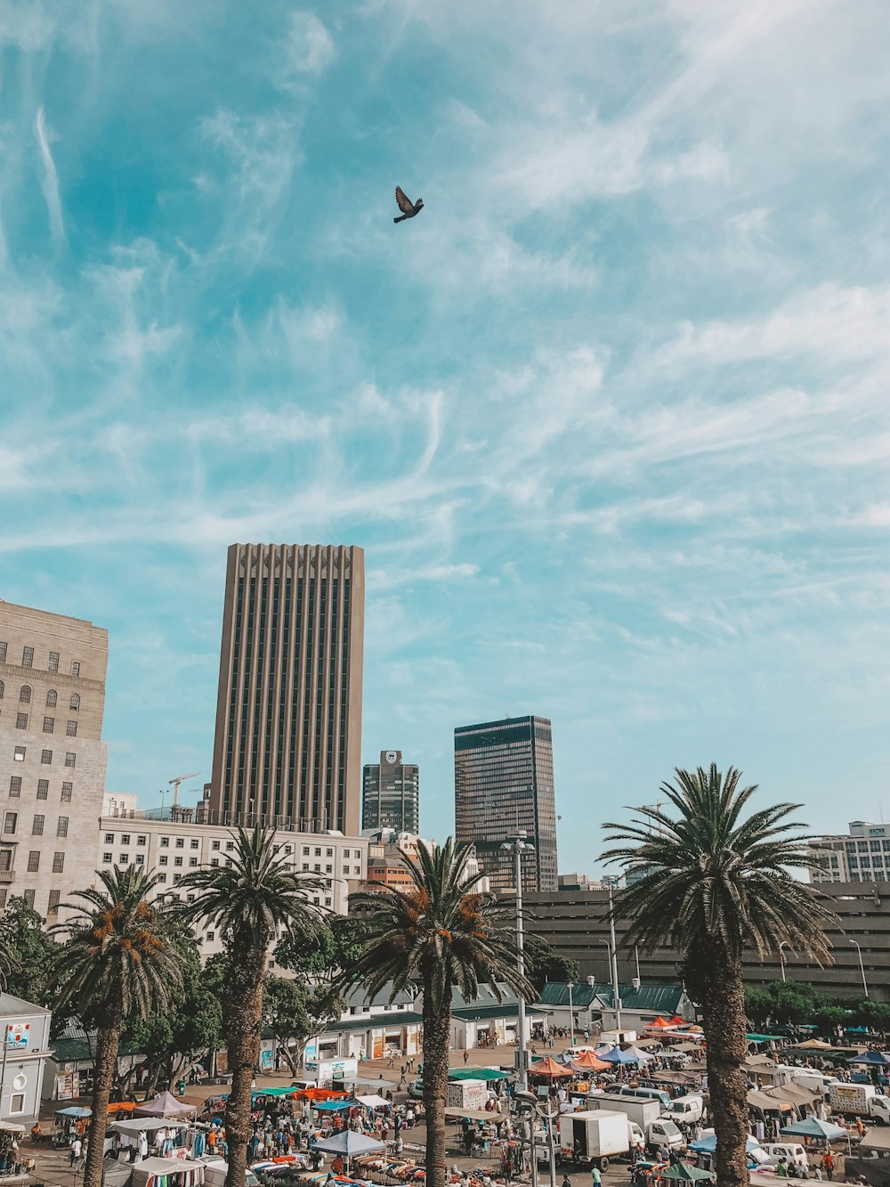 a bird flying over a city with palm trees