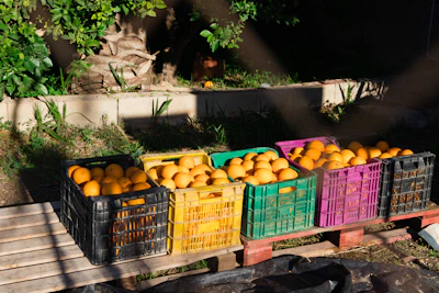 Sunlit crates filled with assorted fresh fruits ready for delivery.