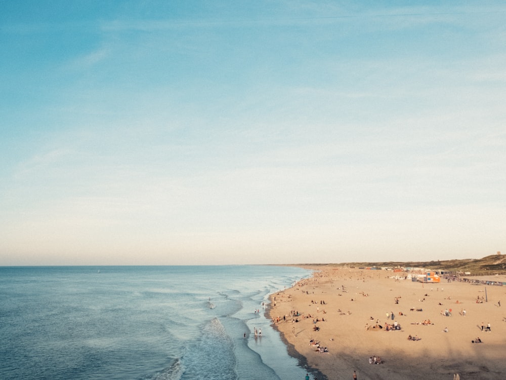 people near calm ocean