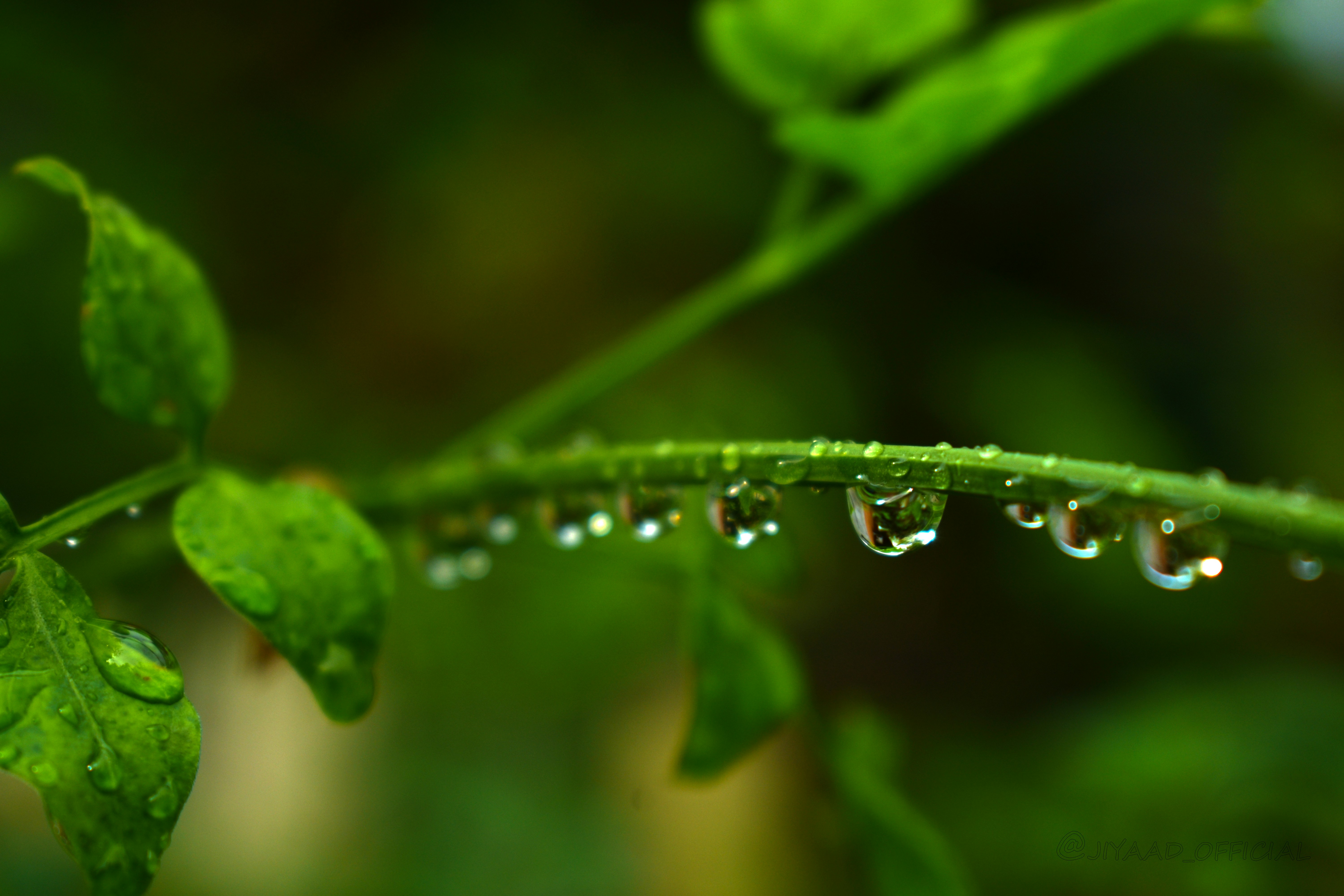 Photo by ___jiyad___