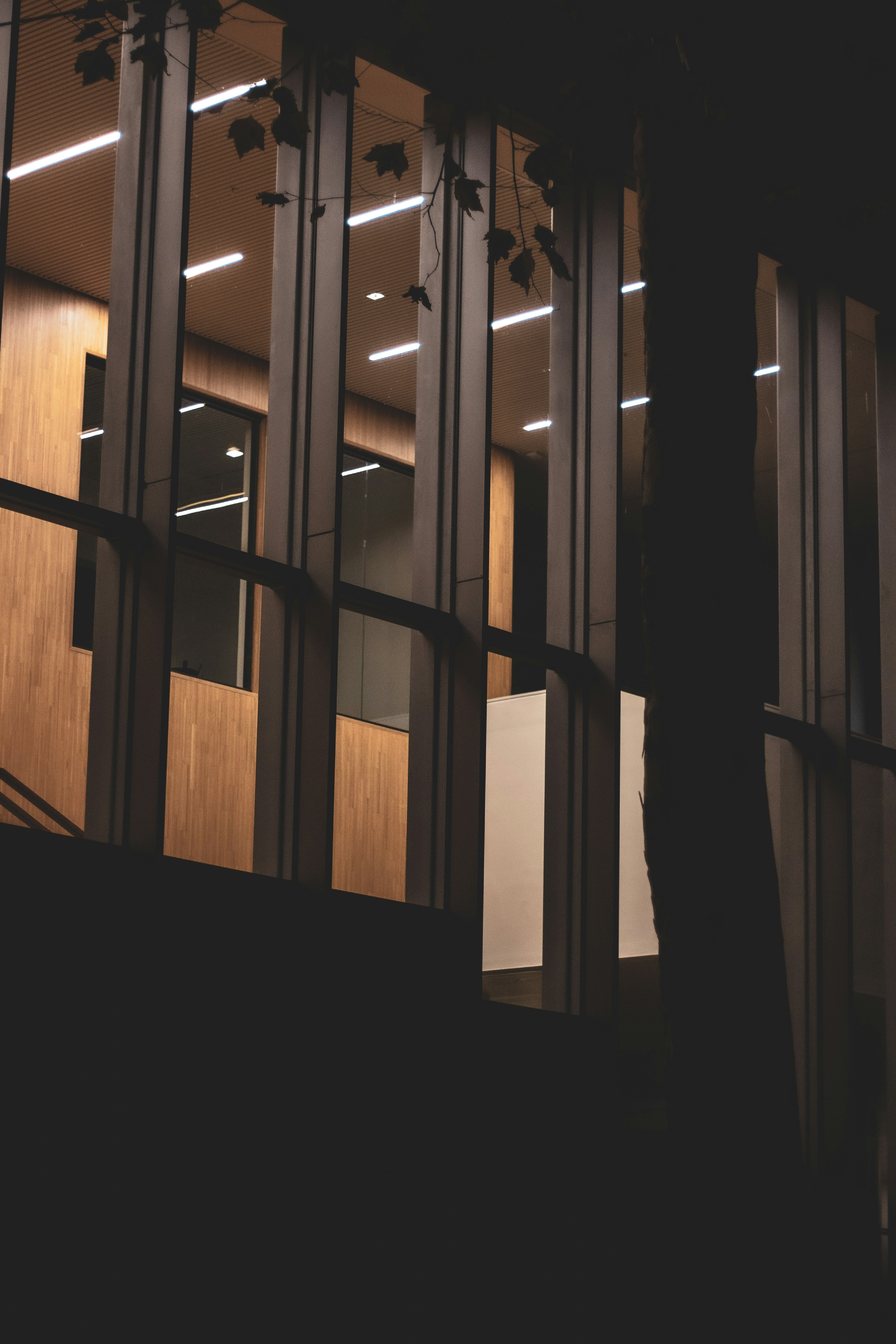 Photo by samtekiefte