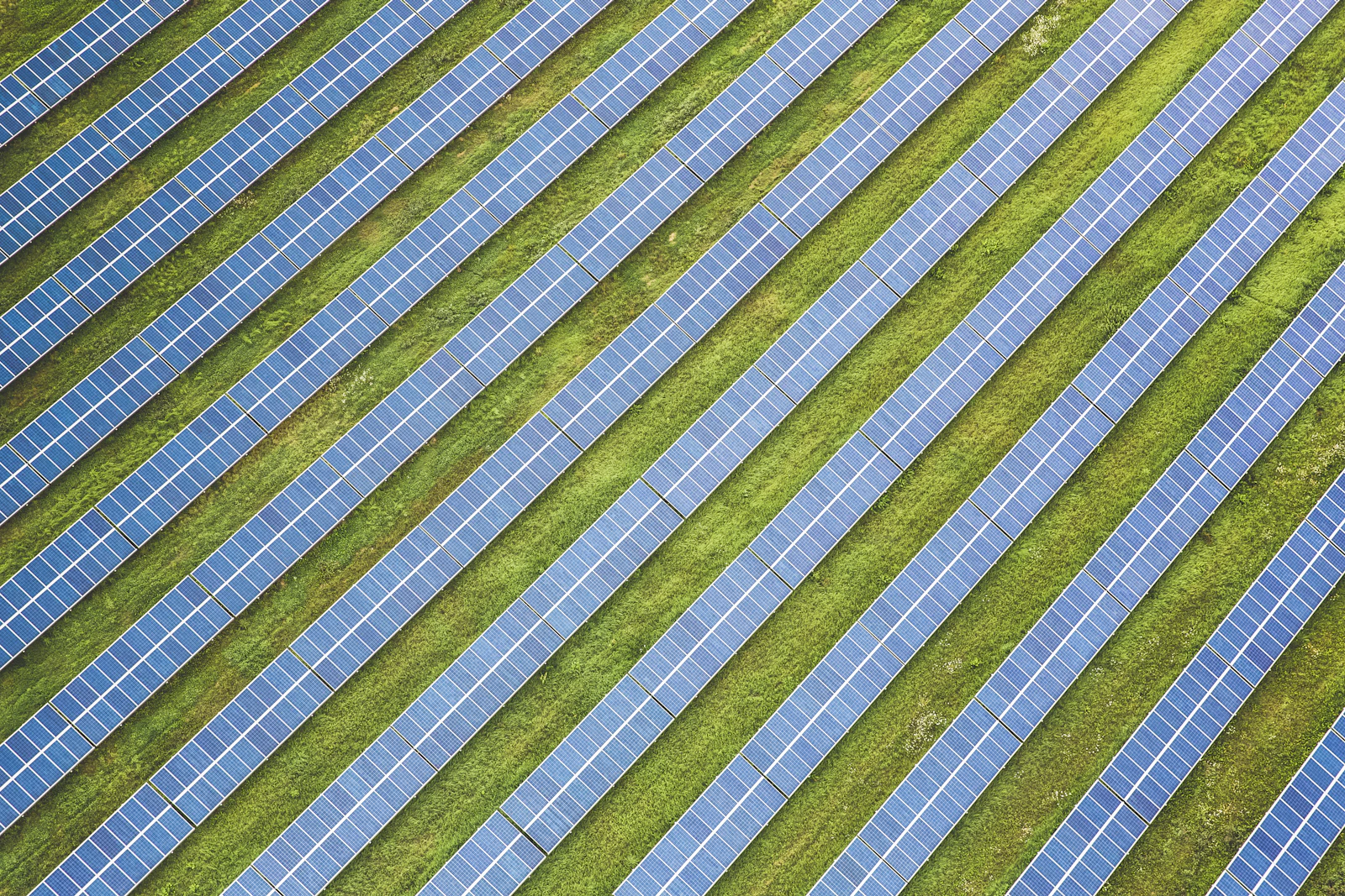 Rows of solar panels in an open field