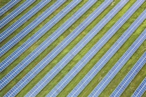Rows of solar panels are arranged in a diagonal pattern across a green field. The panels are uniformly spaced and cover a large area, emphasizing renewable energy and sustainability.
