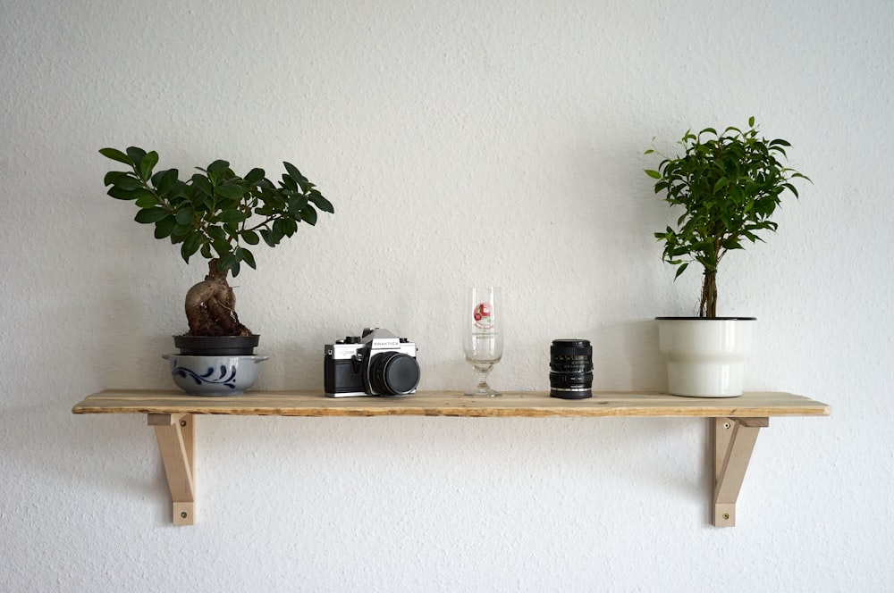 plants, camera, and camera lens on shelf