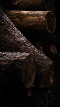 brown tree logs