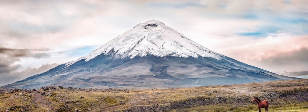 landscape photography of white and brown mountain