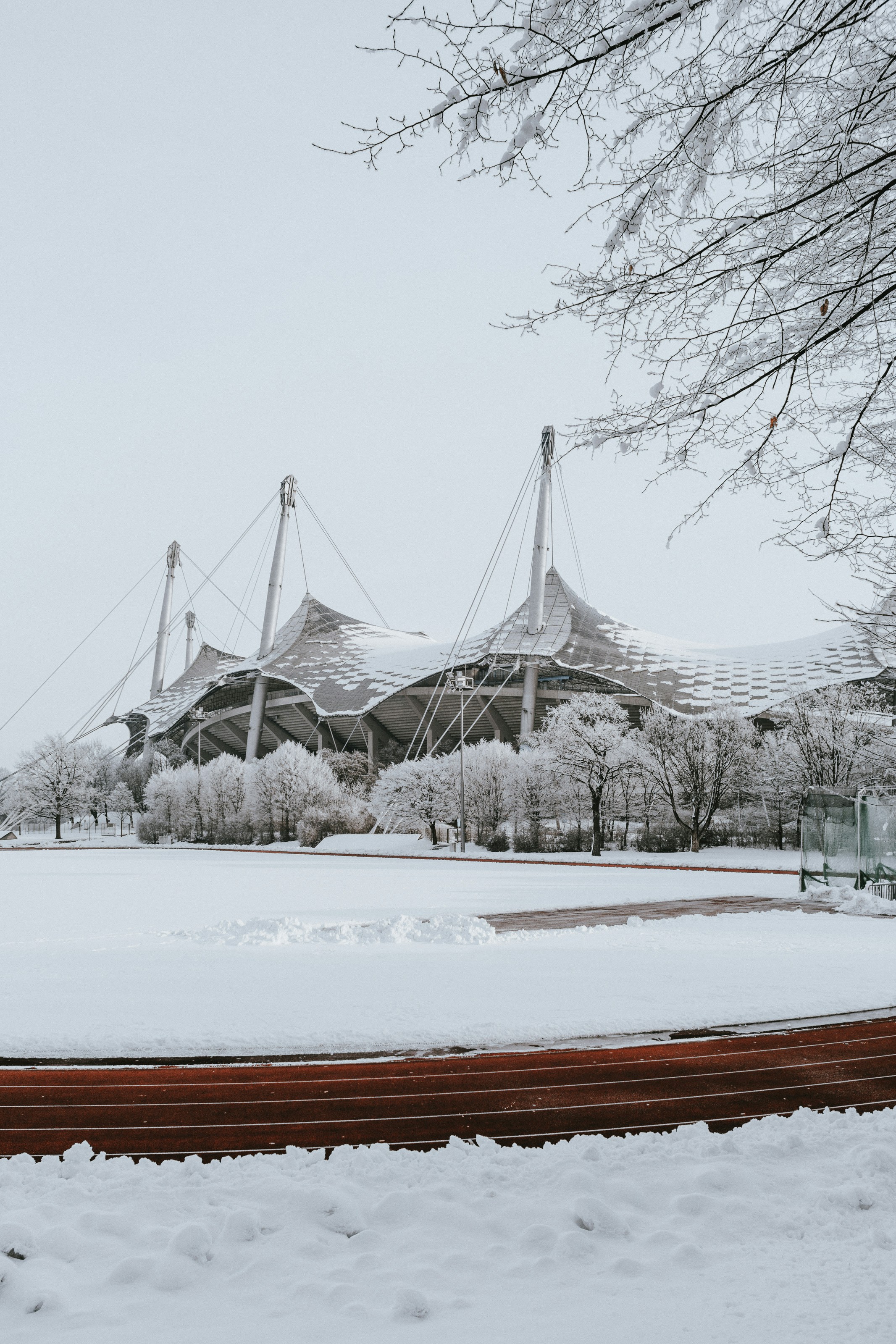 field, house, and trees covered with snow