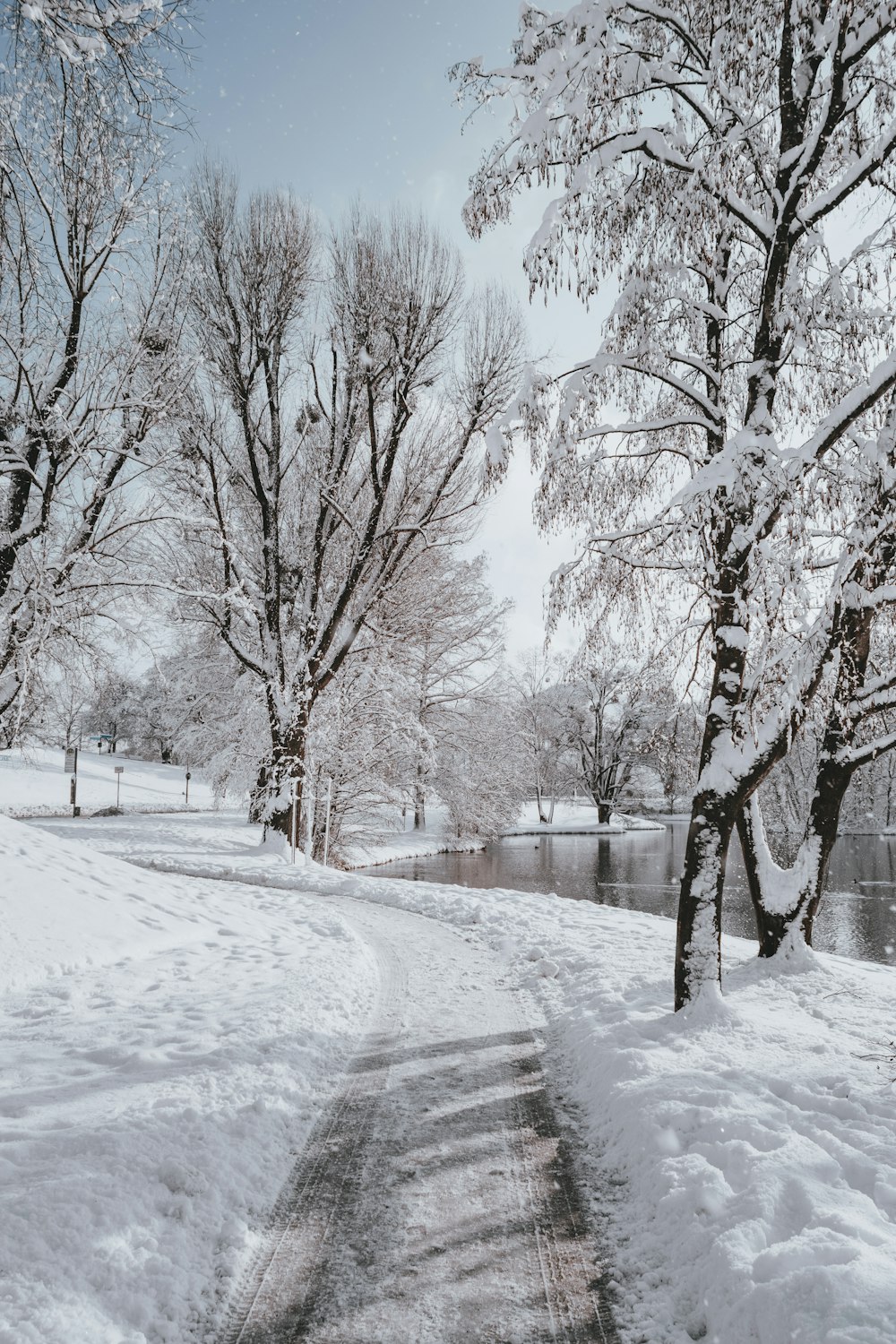 a winding road between trees covered in snow