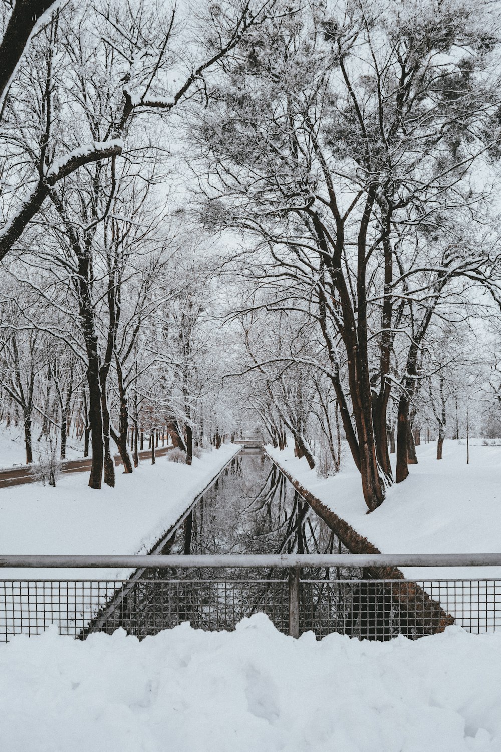 Kanal zwischen schneebedeckten Bäumen