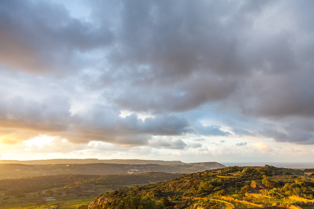 Vue aérienne de la forêt