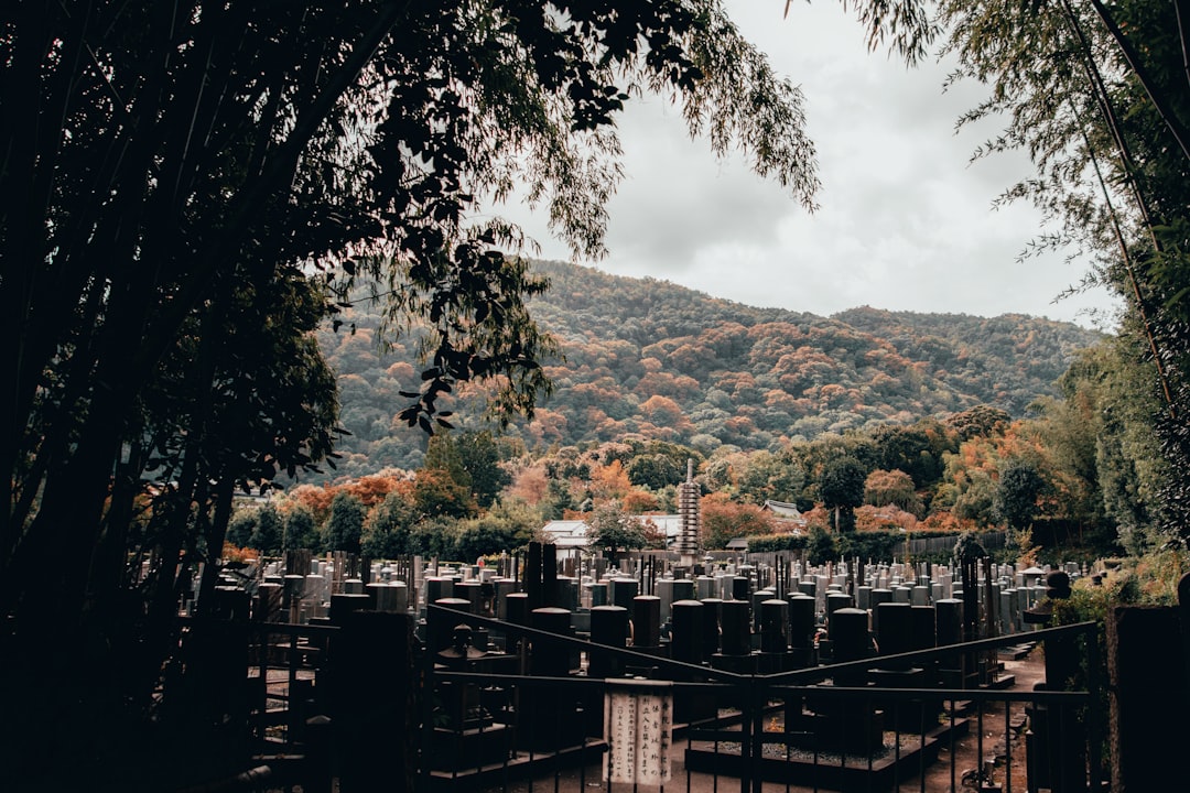 travelers stories about Waterway in Kyoto, Japan