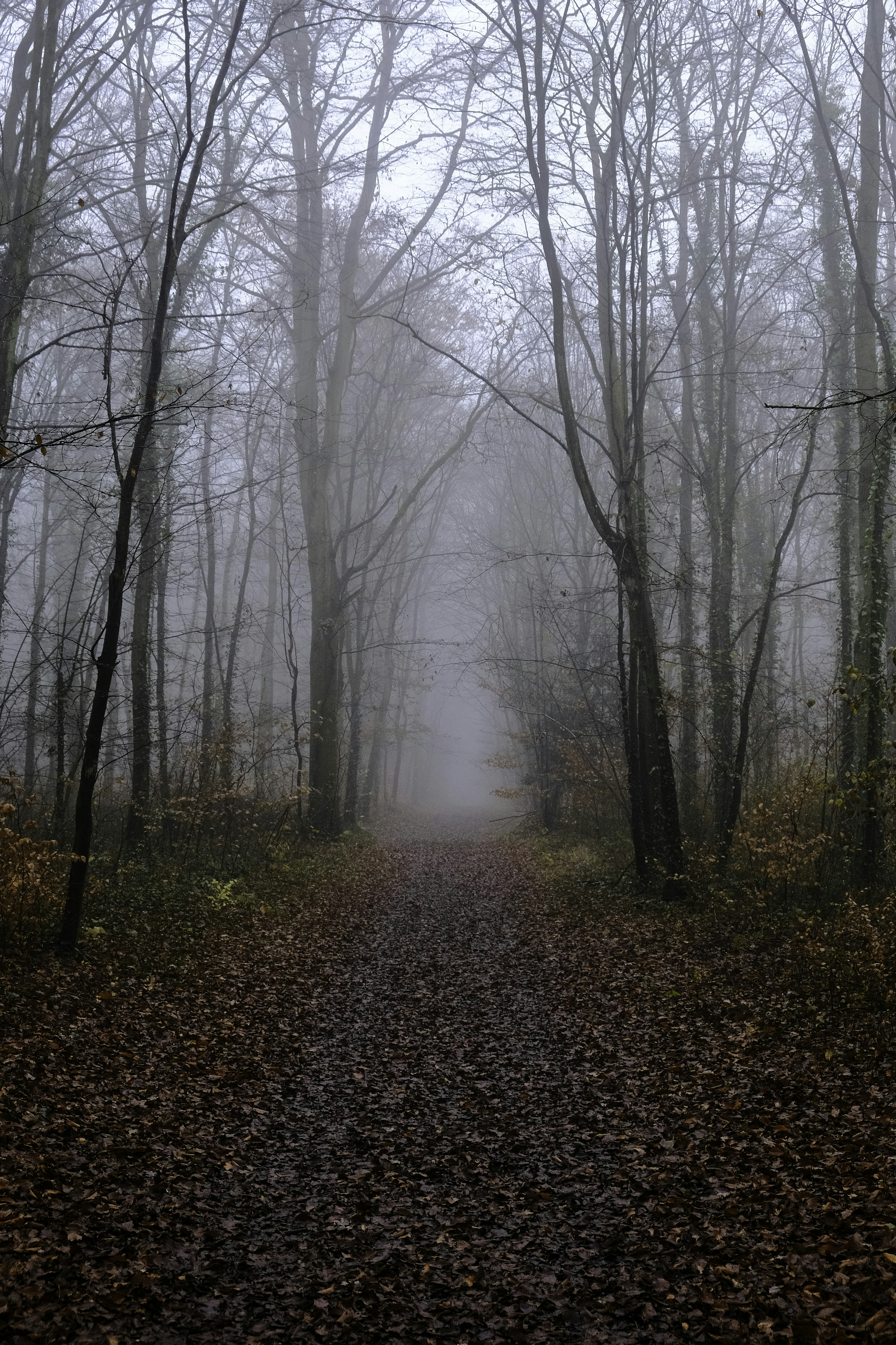 Photo by rsimtainephotography