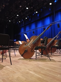 cellos resting on chairs inside building