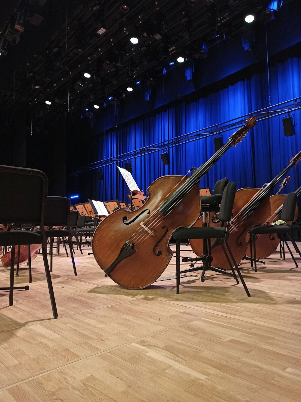 violonchelos apoyados en sillas dentro del edificio