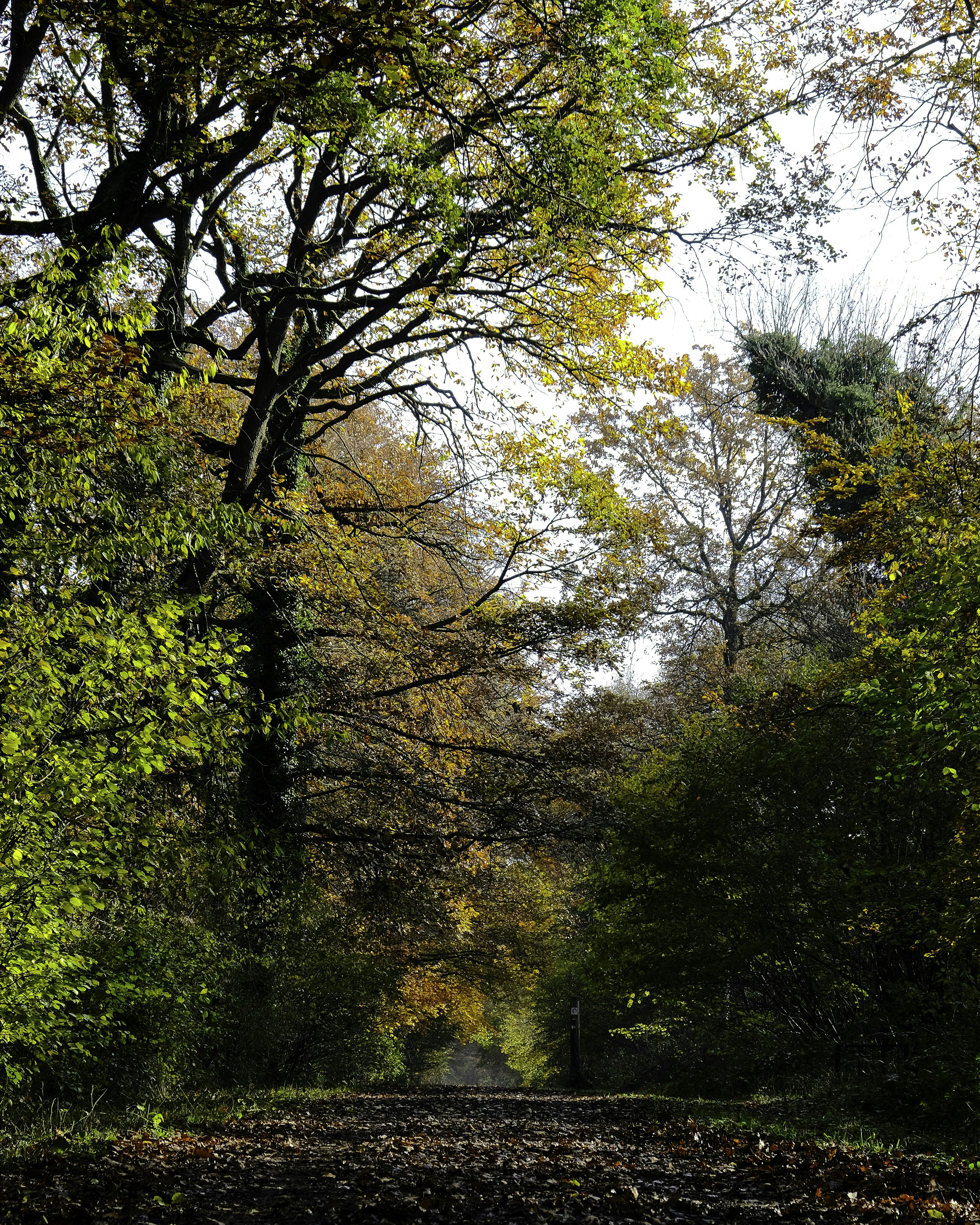 Photo by rsimtainephotography