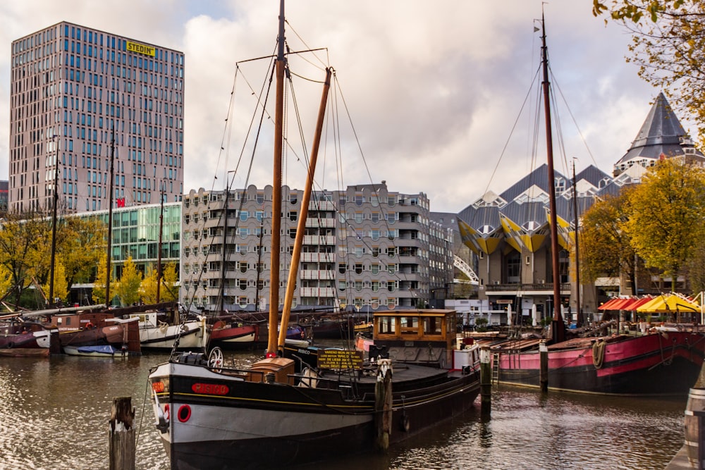 boats on dock during daytime