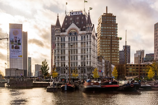 Calex building beside marina in Witte Huis Netherlands