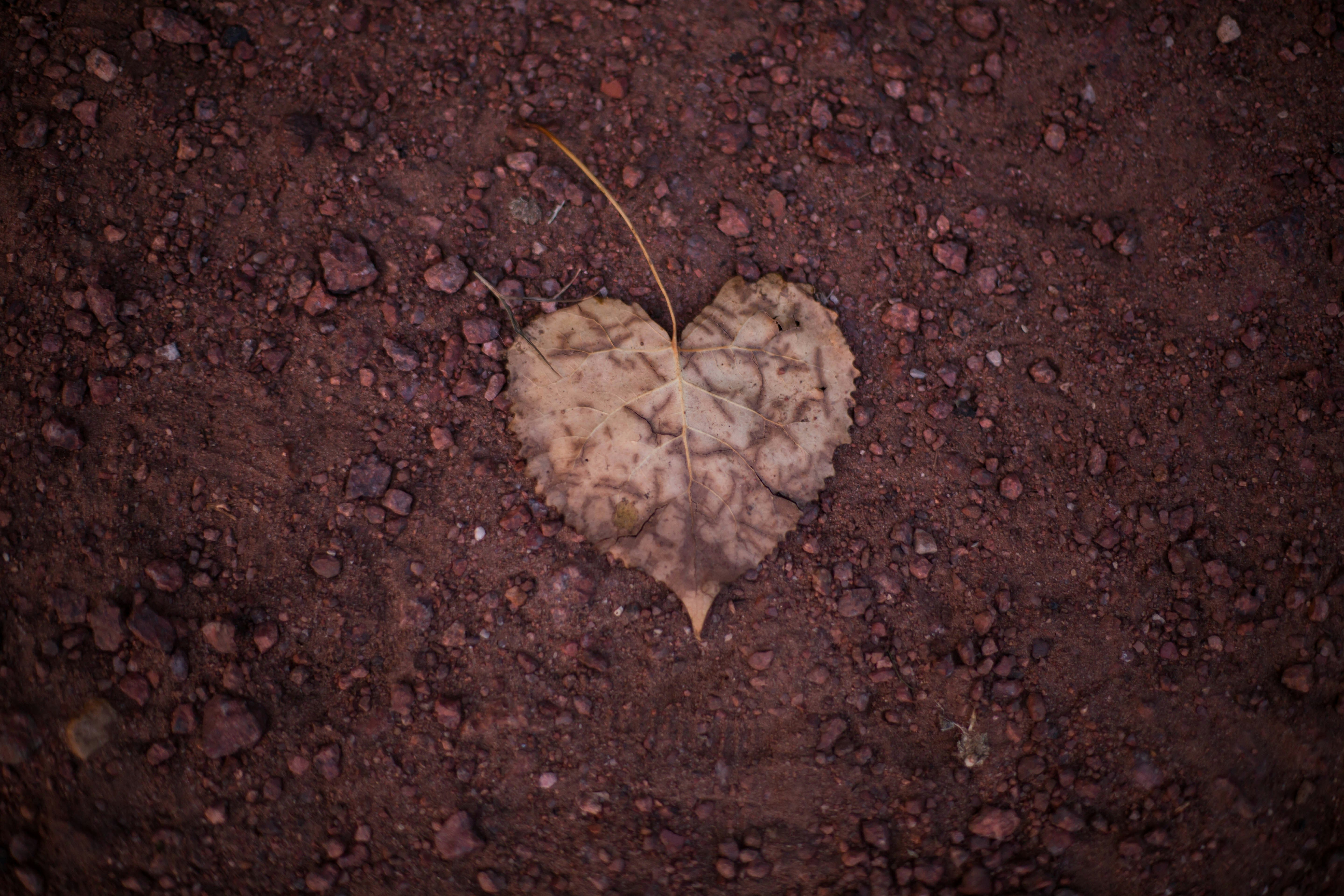 Photo by marciasoligo