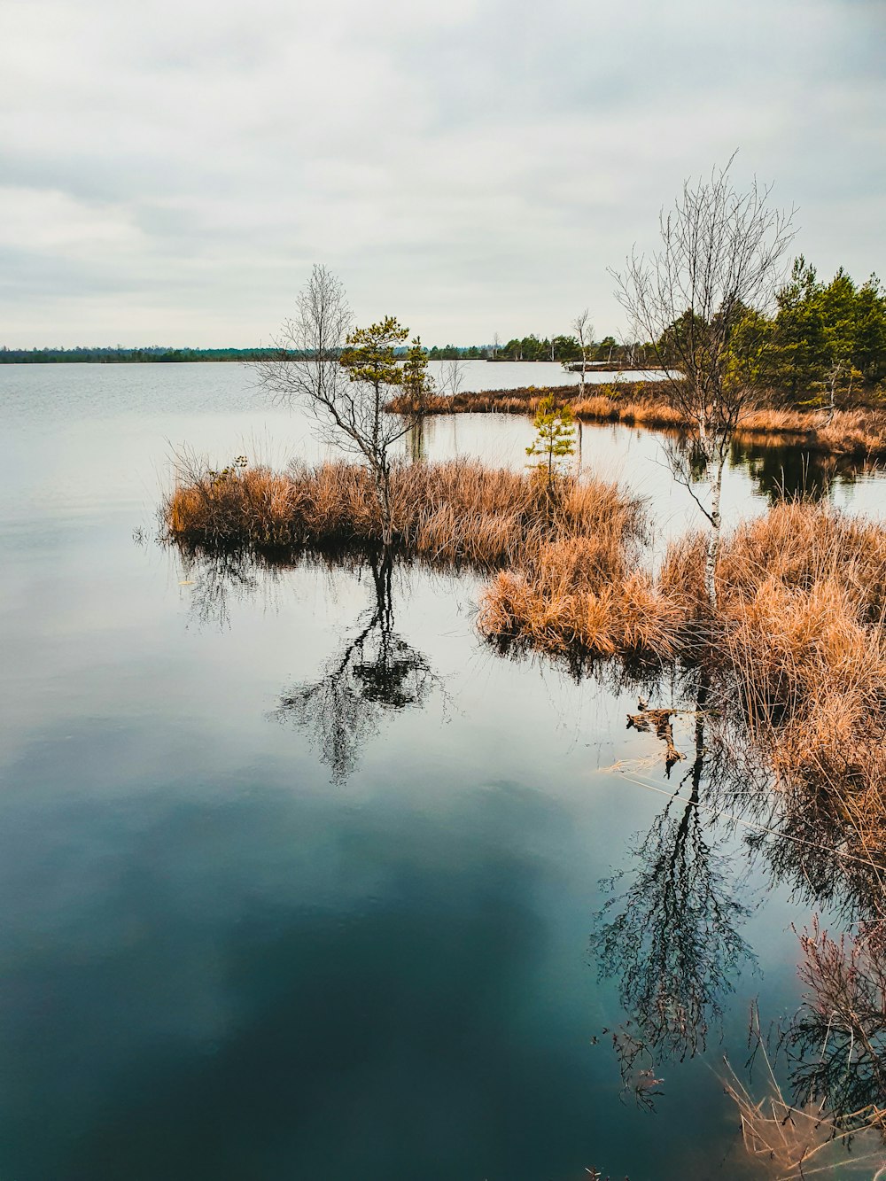 body of water