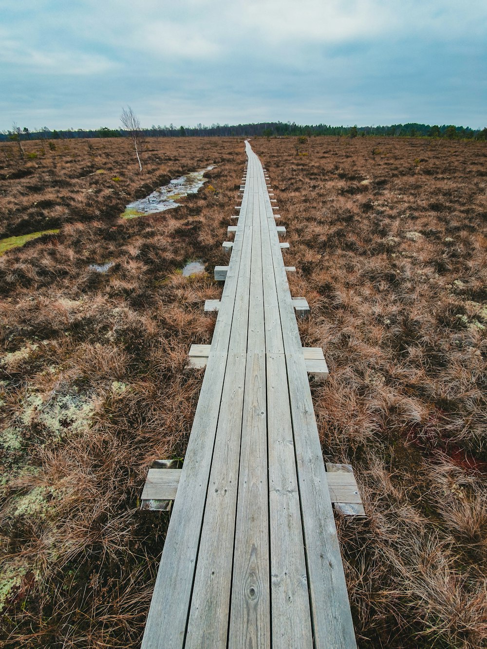 wooden pathway in an open field during daytime