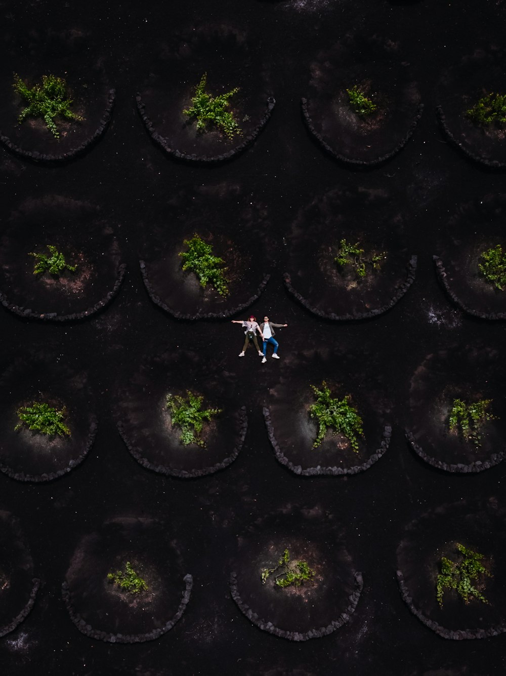 aerial photography of two men surrounded by trees