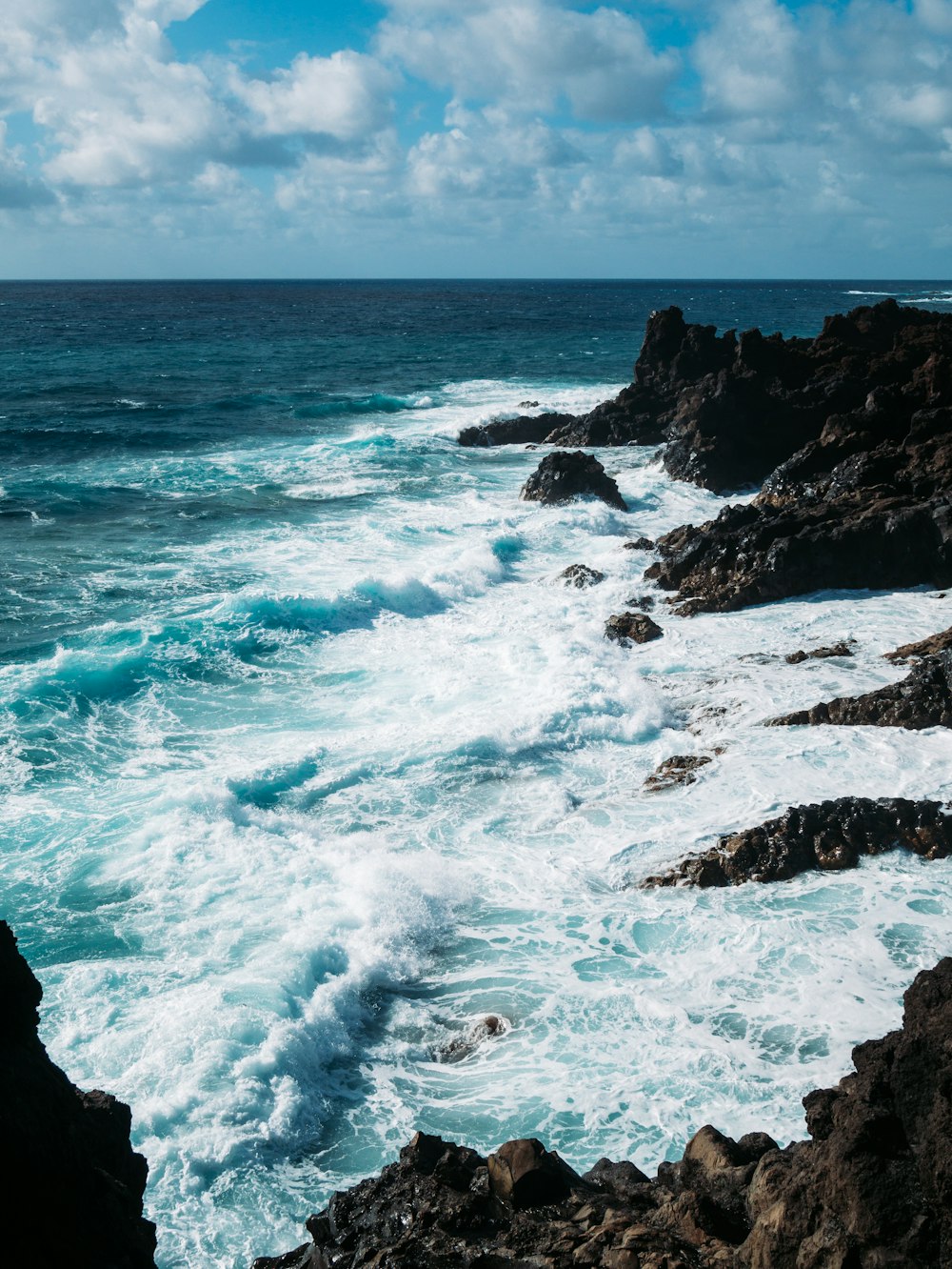 women's of seashore during daytime