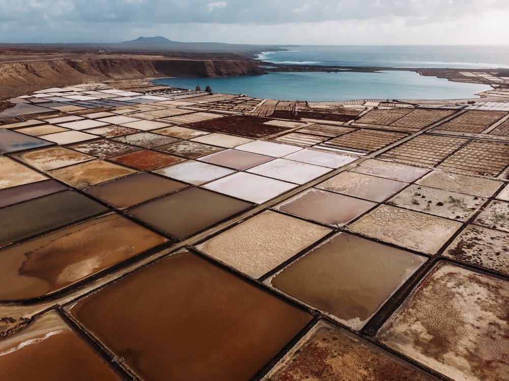 brown landscapes and body of water