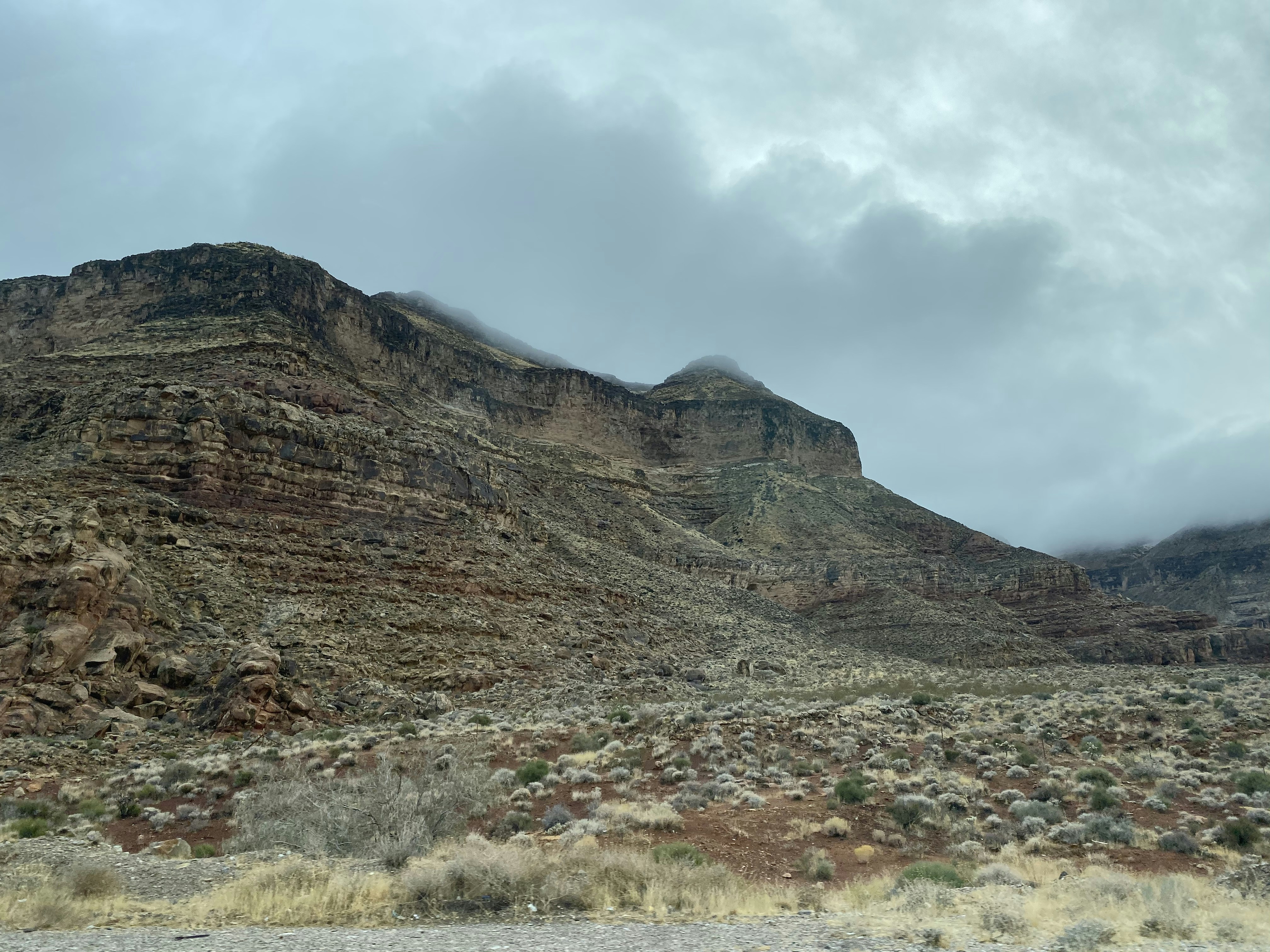 Photo by anvesh_clicks