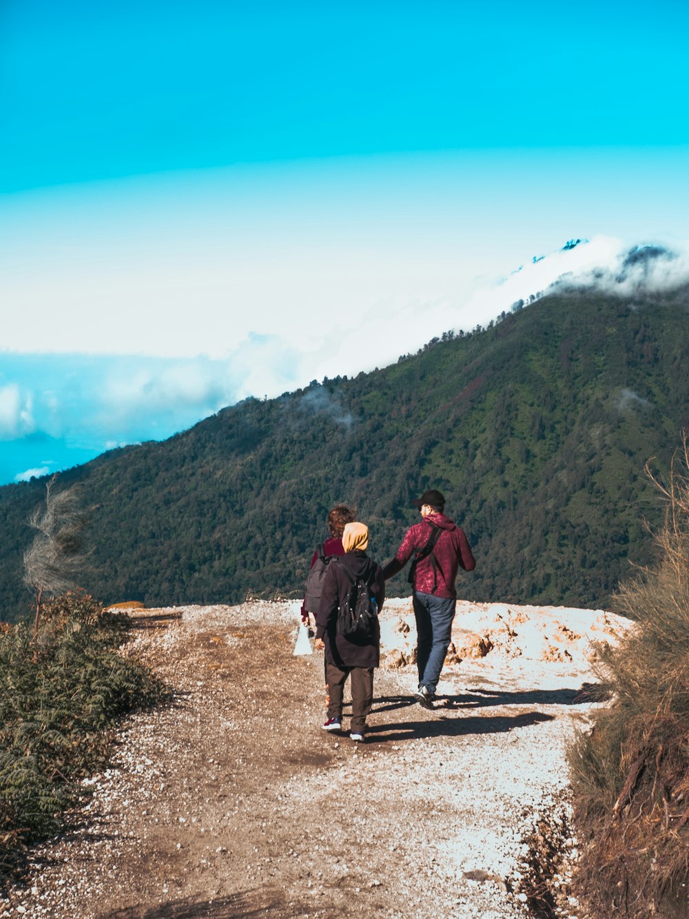 three person walking on pathway