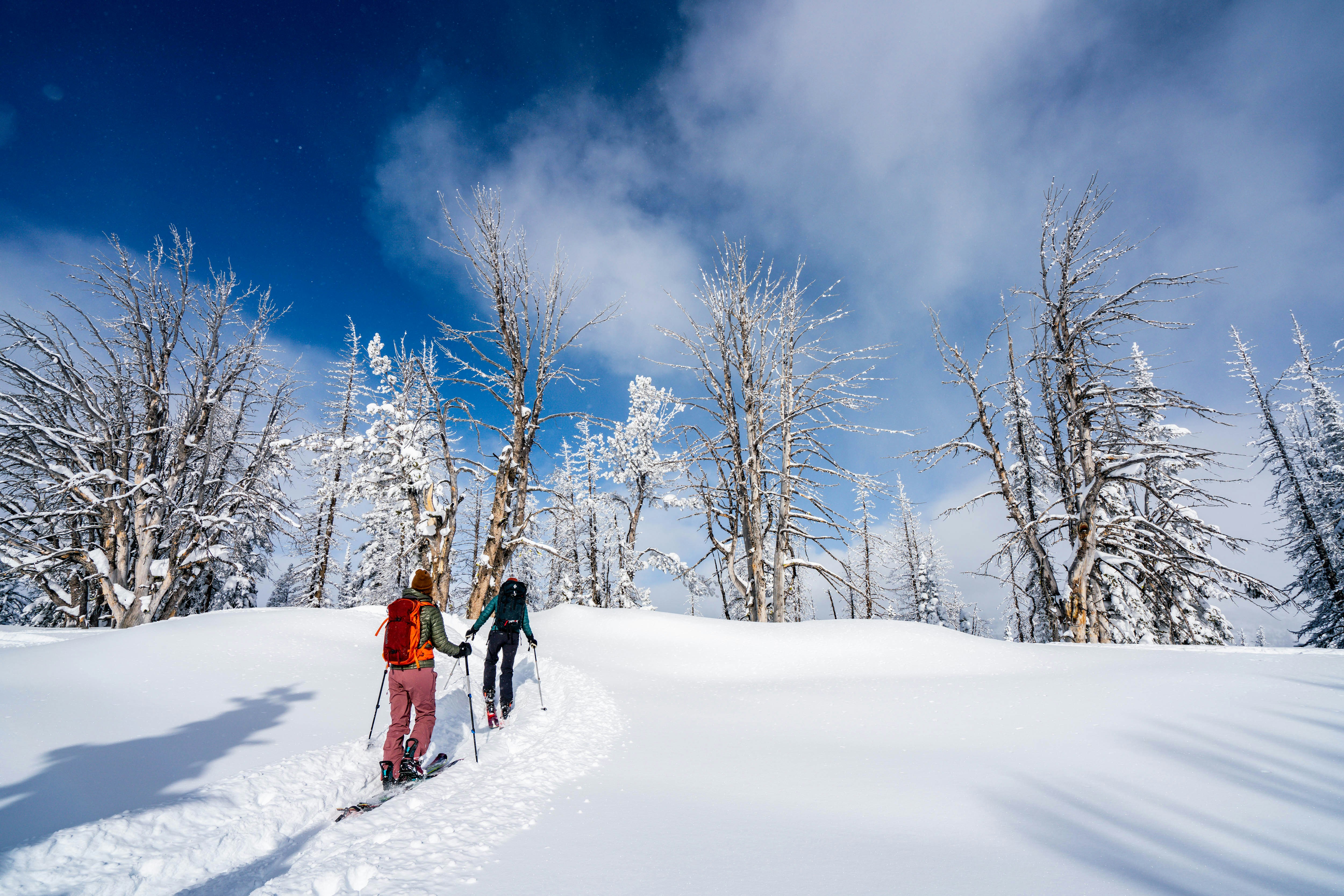 two person walking on snow