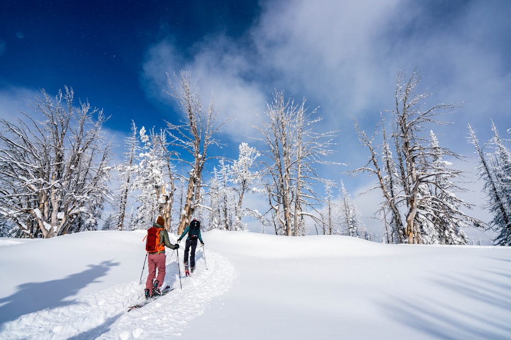 two person walking on snow