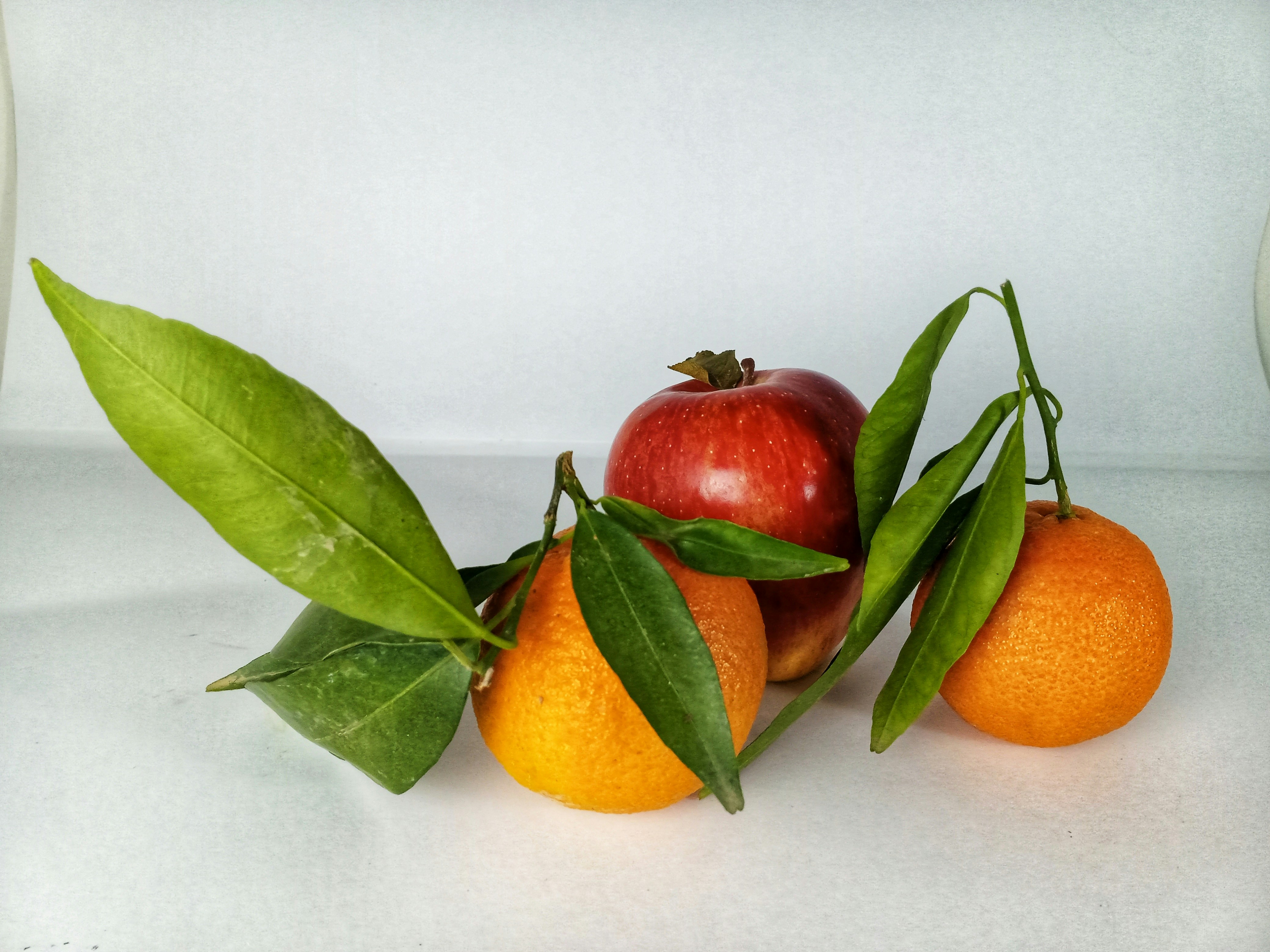 #fruit#apple#photo#jutdefruit#climentine