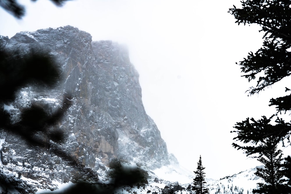 field and summit view of mountain covered with snow