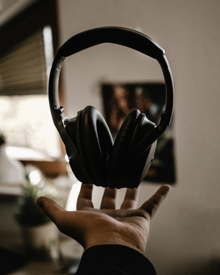 Bose noise-cancelling headphones, the company's signature product category