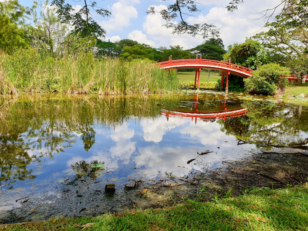 a red bridge over a body of water