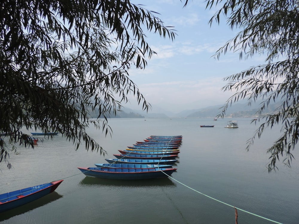 blue gondola boats floating in water