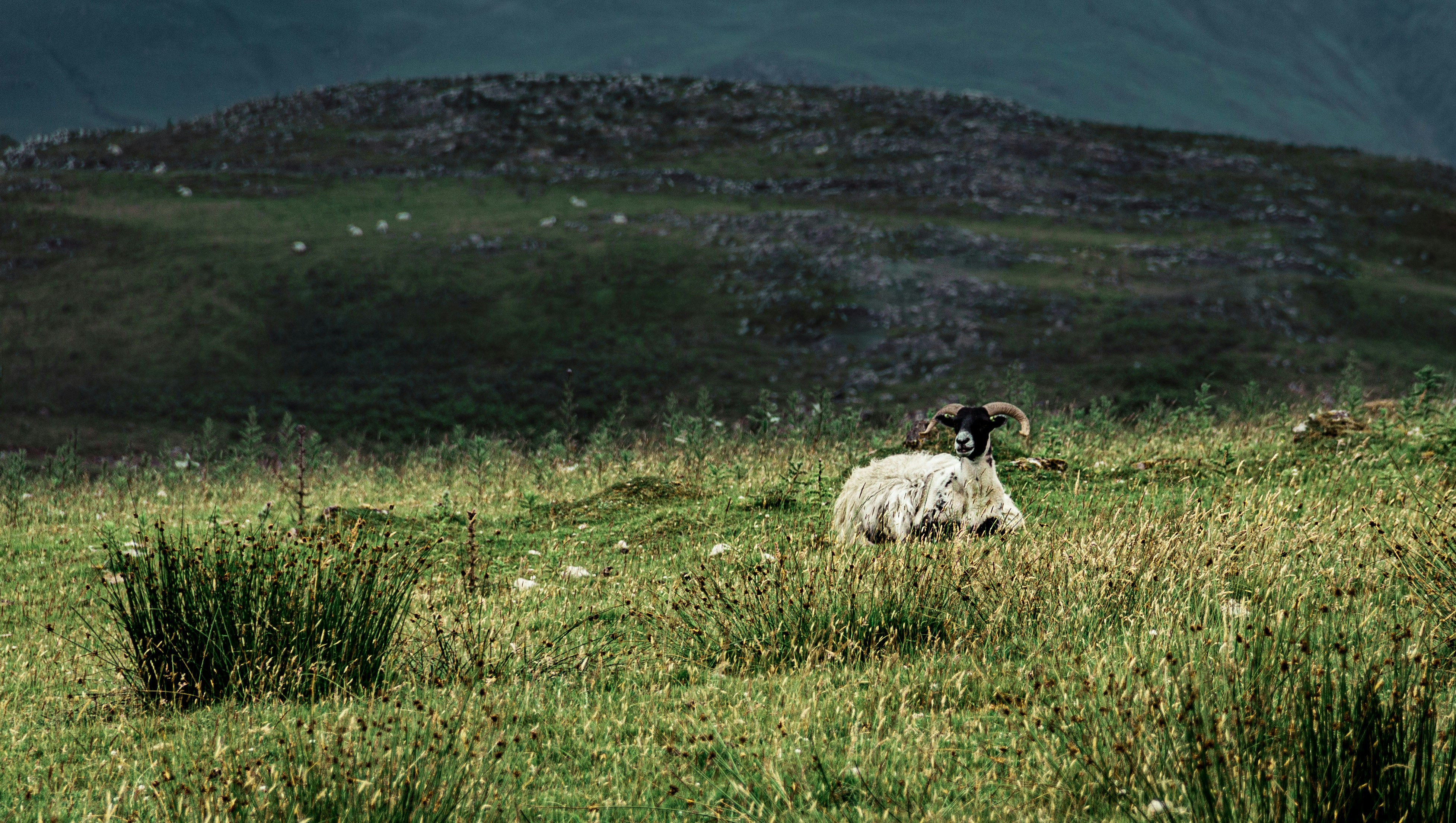 Photo by emilie_crssrd