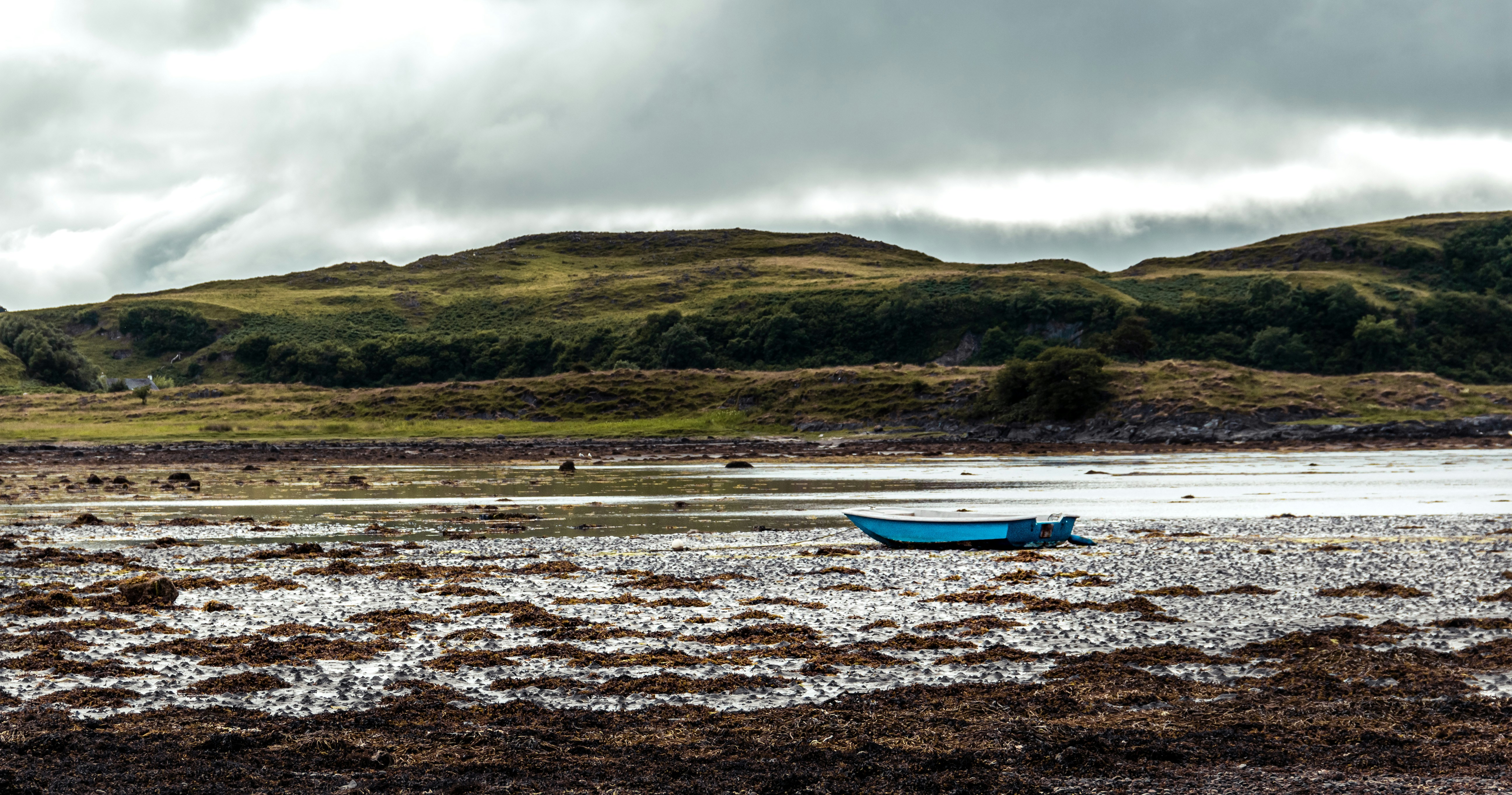 Photo by emilie_crssrd