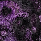 a purple and black background with lots of small flowers