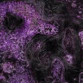 a purple and black background with lots of small flowers