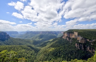 trees on mountain under cloudy sky