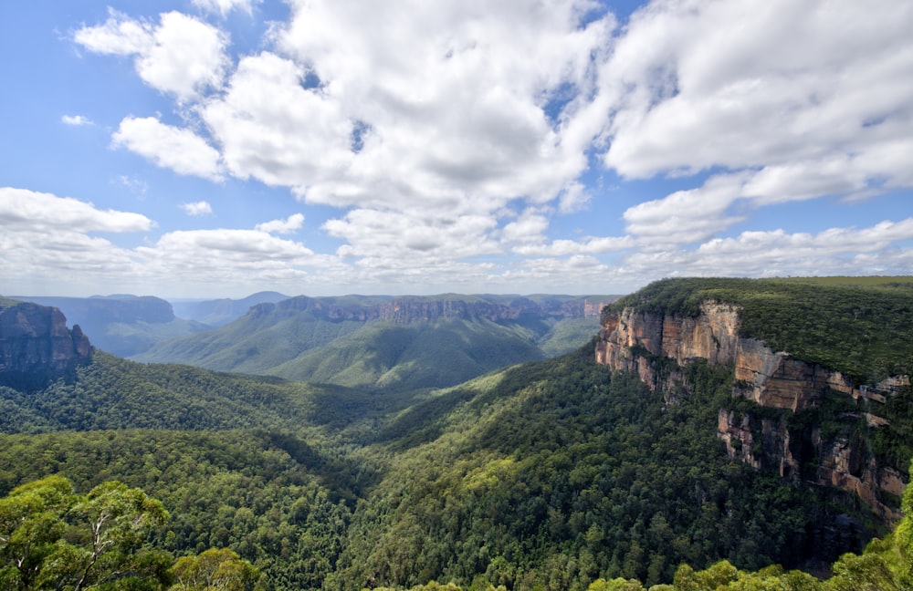 árboles en la montaña bajo el cielo nublado