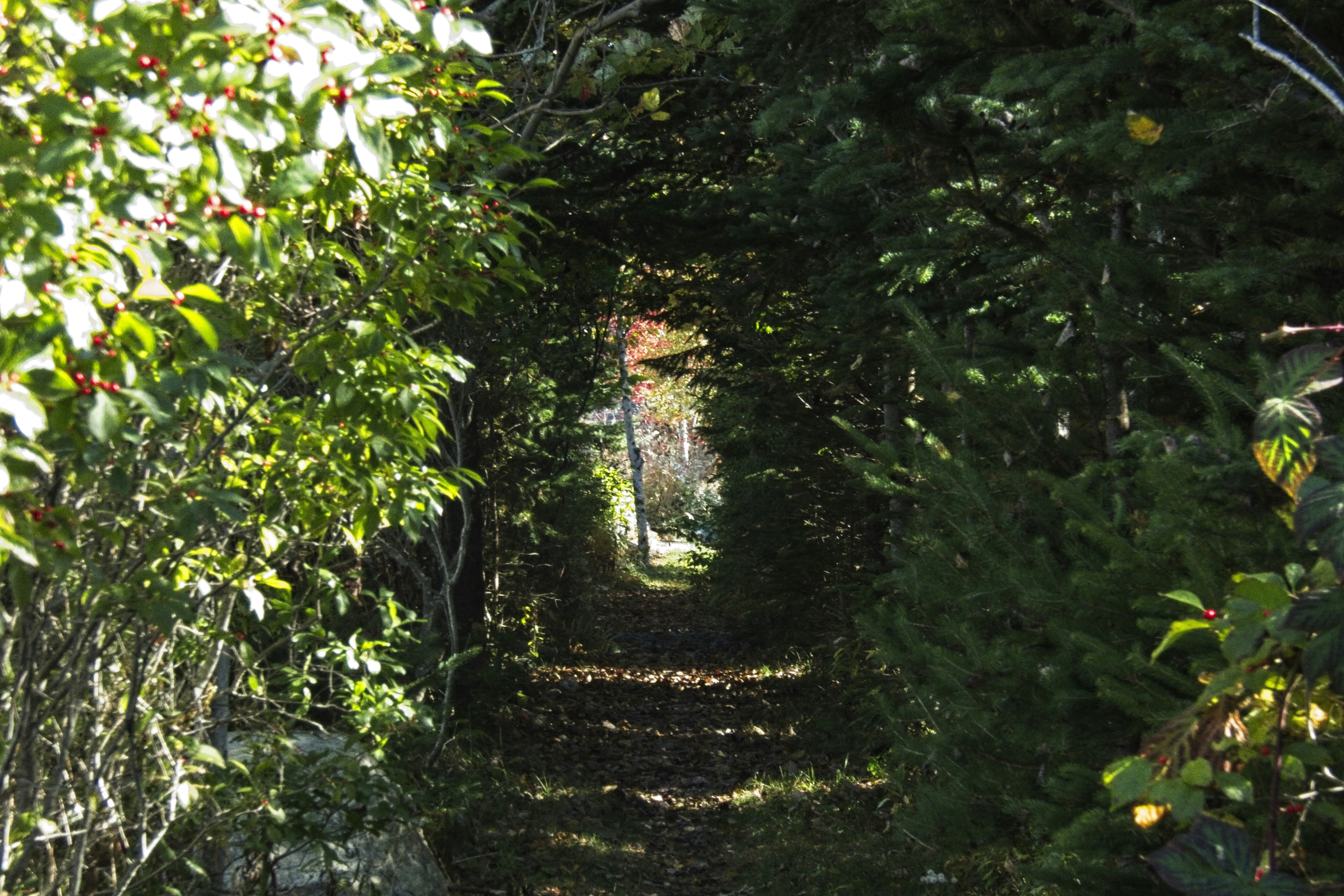 Photo by samoset_1937