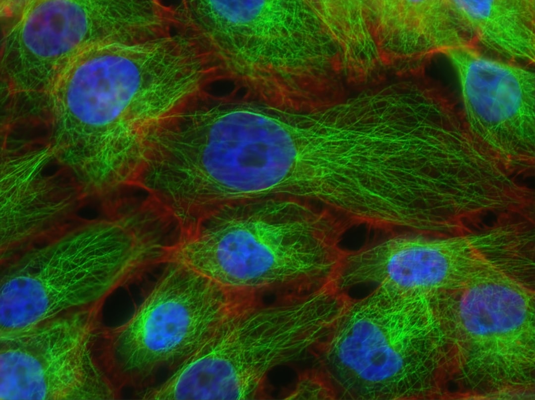 The Renaissance of Cancer Vaccines Bridging Immunology and Entrepre… — The Renaissance of Cancer Vaccines Bridging