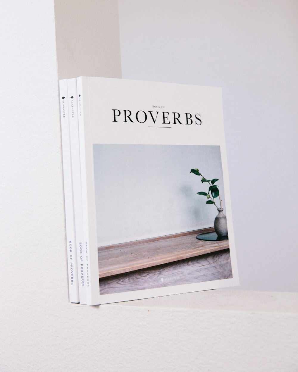 Proverbs book