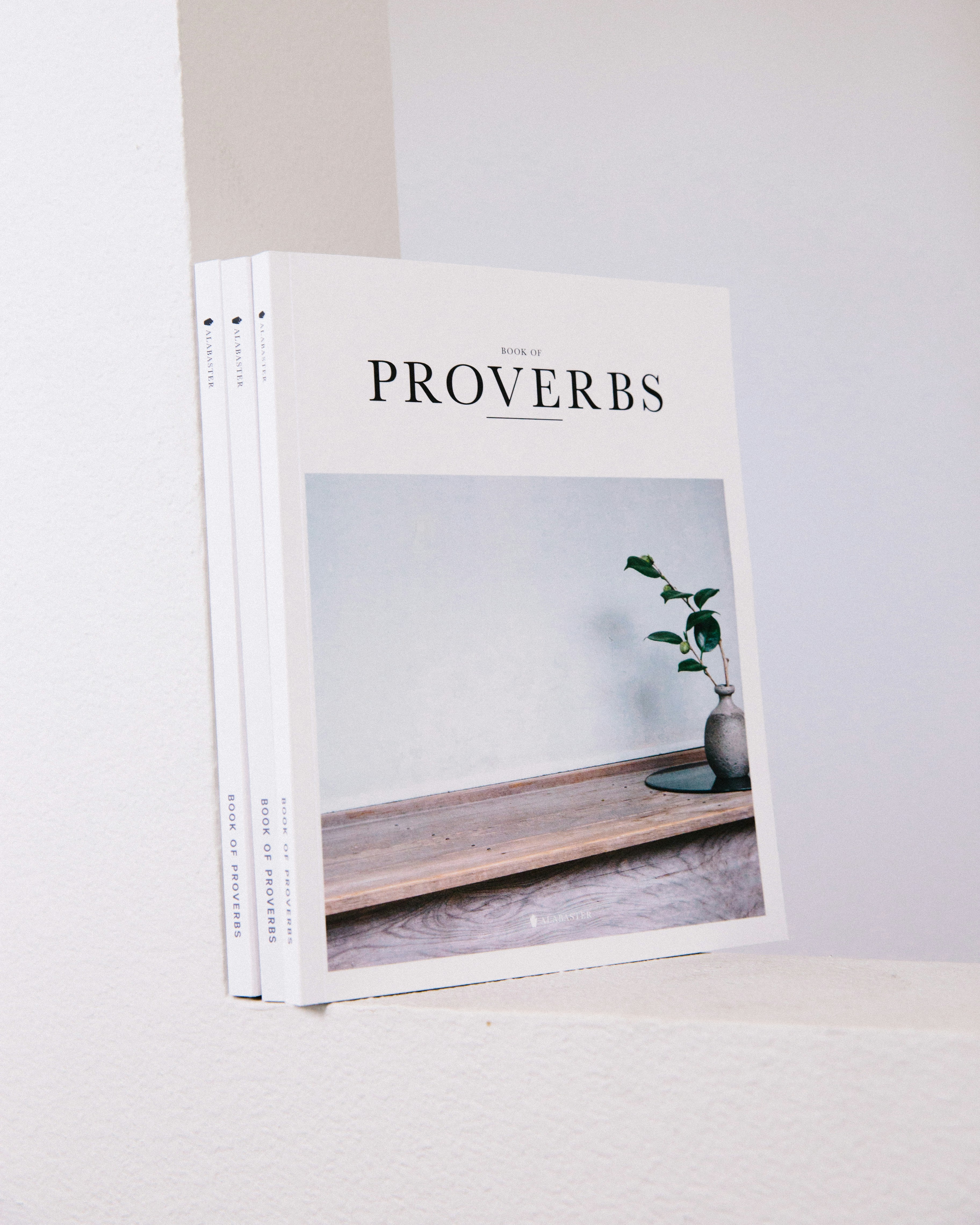 Book of Proverbs on white minimal background