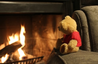 Little Bear and Fire cuddled together on a cozy blanket by the window.