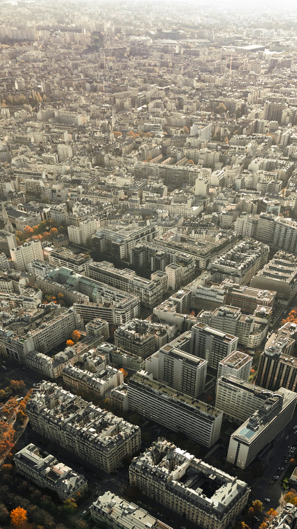 aerial photography of an urban city skyline during daytime
