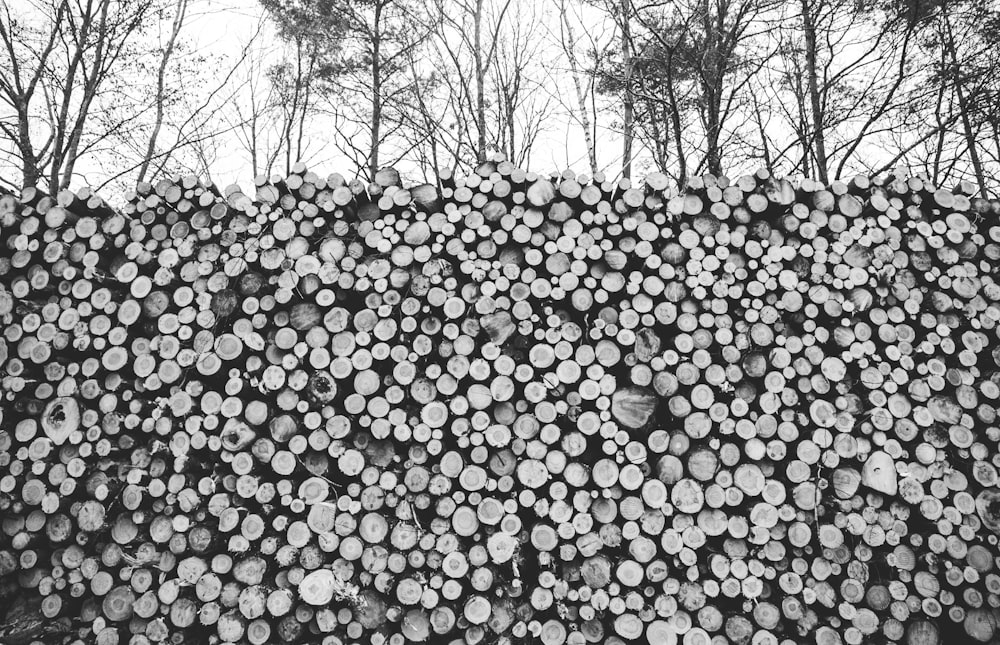 grayscale photography of stack of firewood